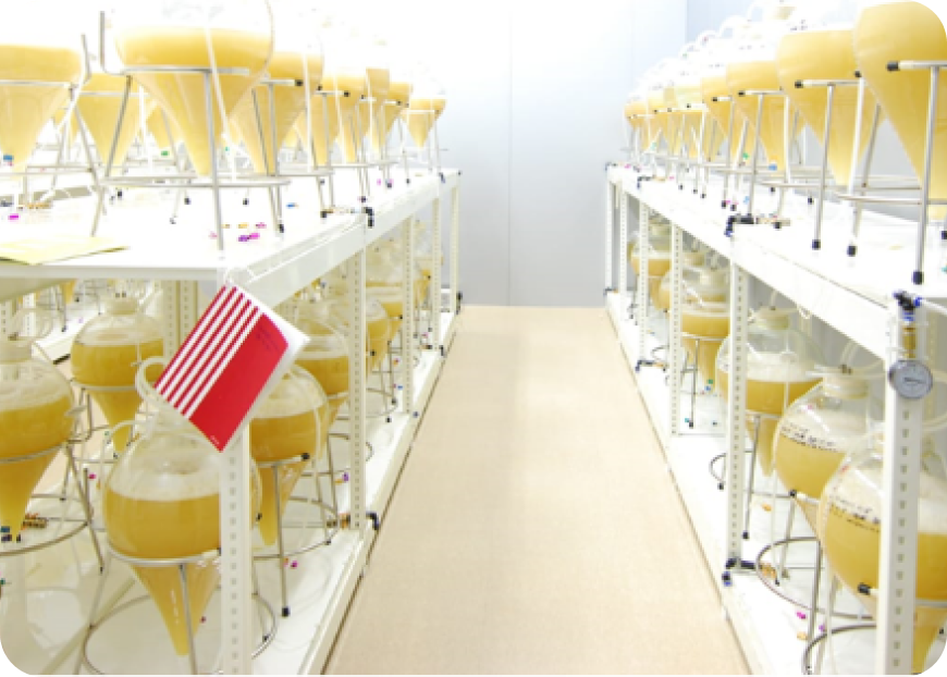 Laboratory vials with yellow liquid