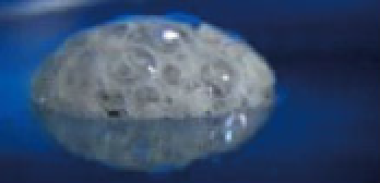 CMC cells under stress