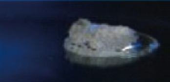 DDC cells under stress